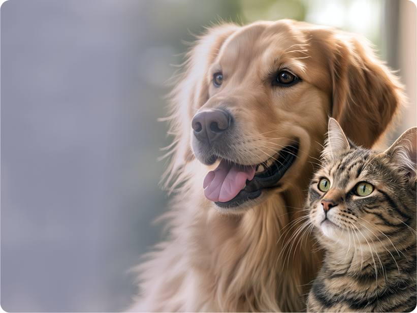 Veterinary Products